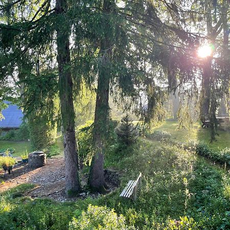 Liebevoll Eingerichtetes Ferienhaus Mit Grossem Garten Клаусталь-Целлерфельд Екстер'єр фото