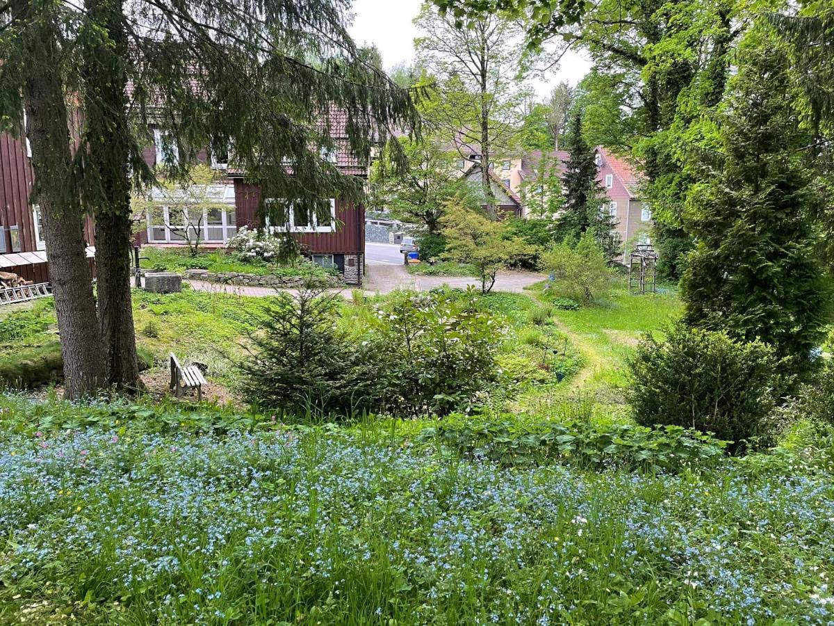 Liebevoll Eingerichtetes Ferienhaus Mit Grossem Garten Клаусталь-Целлерфельд Екстер'єр фото