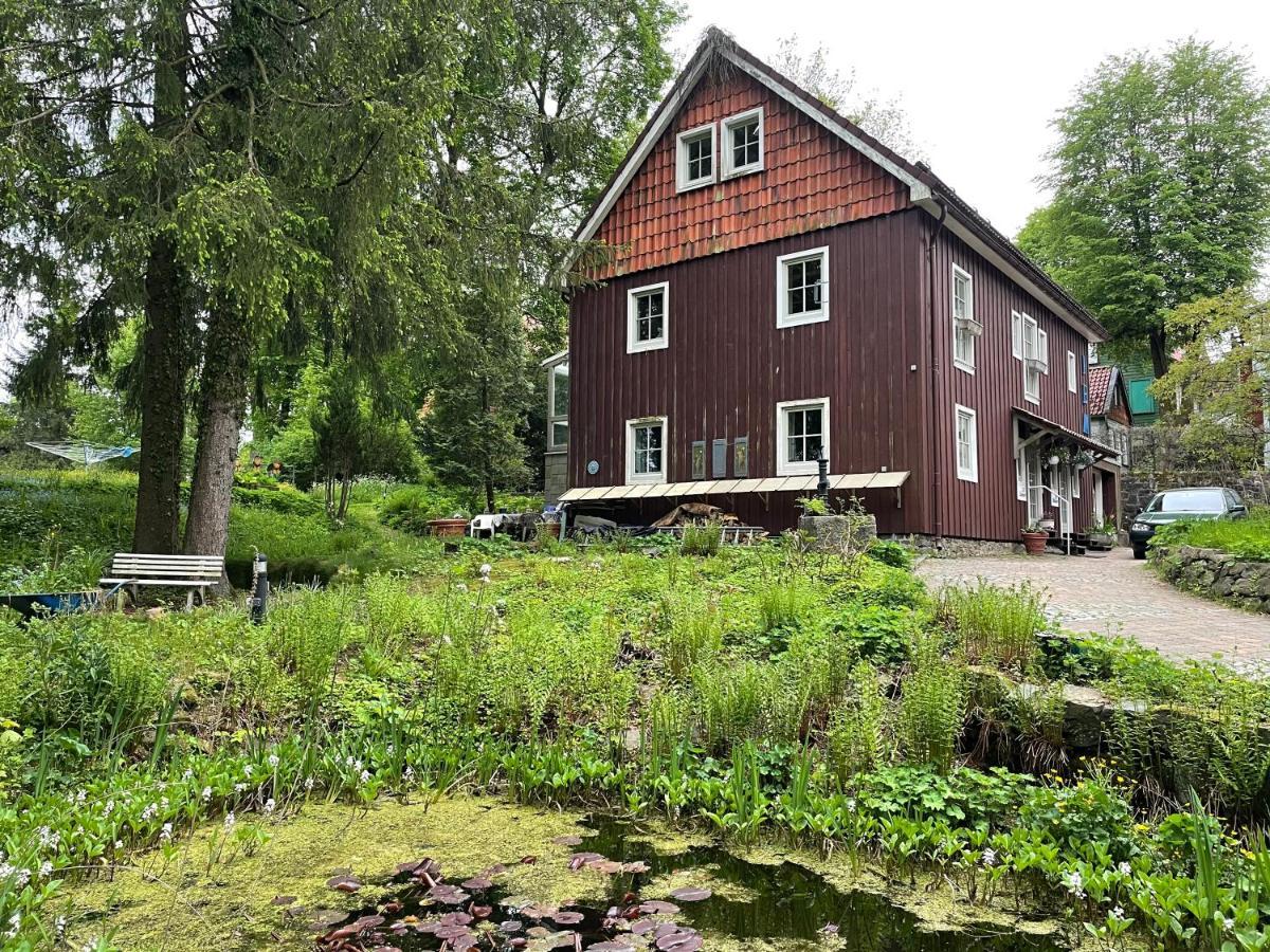 Liebevoll Eingerichtetes Ferienhaus Mit Grossem Garten Клаусталь-Целлерфельд Екстер'єр фото