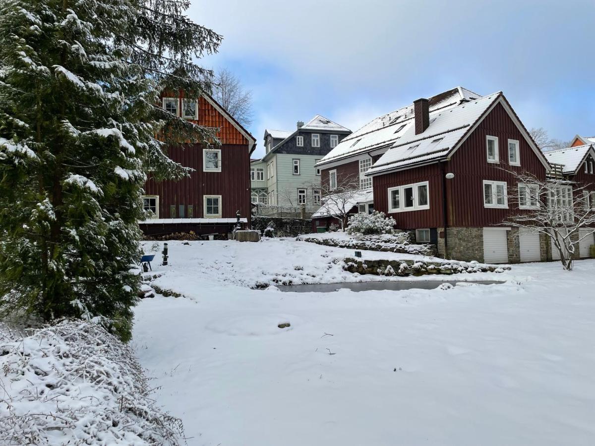 Liebevoll Eingerichtetes Ferienhaus Mit Grossem Garten Клаусталь-Целлерфельд Екстер'єр фото
