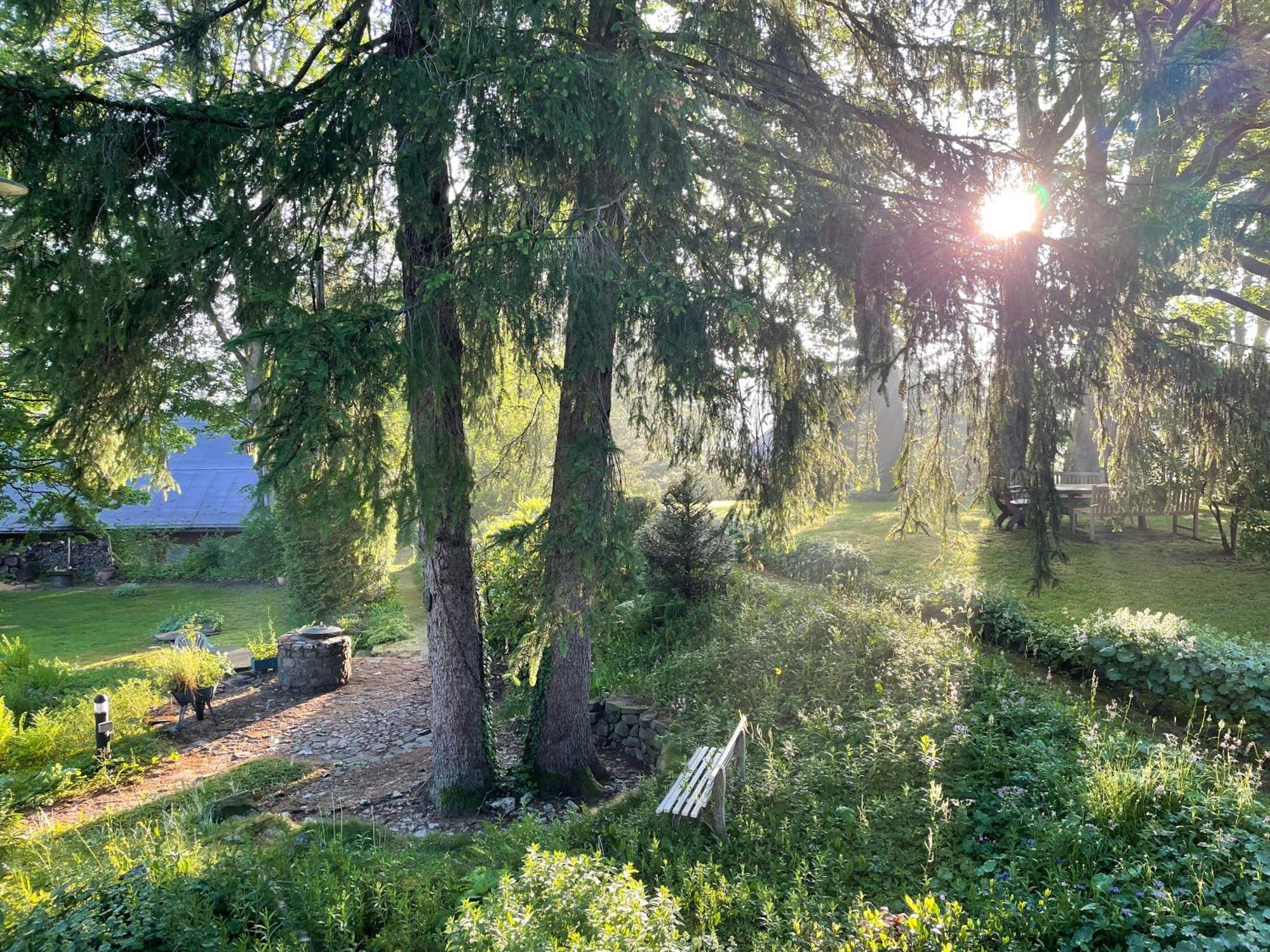 Liebevoll Eingerichtetes Ferienhaus Mit Grossem Garten Клаусталь-Целлерфельд Екстер'єр фото